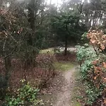 Hoefbos *