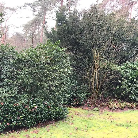 Hoefbos オッテルロ