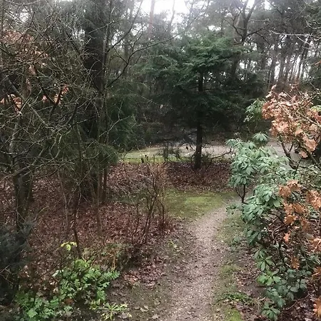 Hoefbos *