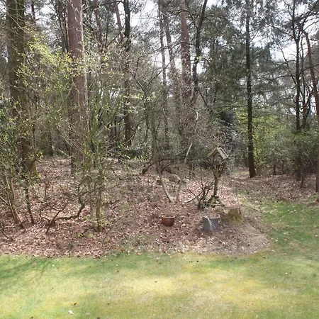 Semesterbostad Hoefbos